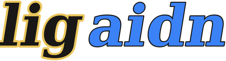 ligaidn logo